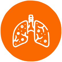 Pulmonology